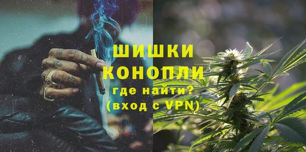 сатива Медногорск
