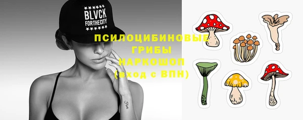 сатива Медногорск