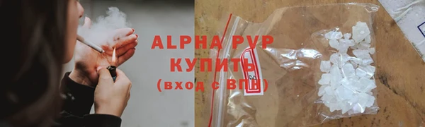 сатива Медногорск