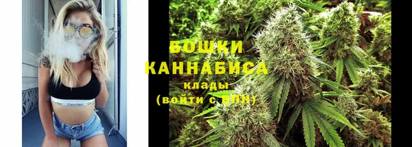 сатива Медногорск