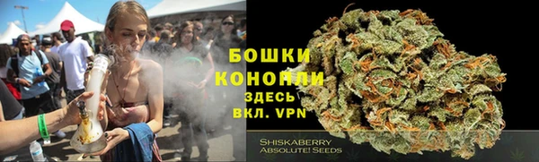 сатива Медногорск