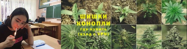 сатива Медногорск