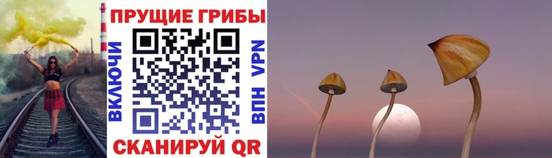 даркнет формула  Болохово  Псилоцибиновые грибы Psilocybine cubensis  hydra ССЫЛКА 
